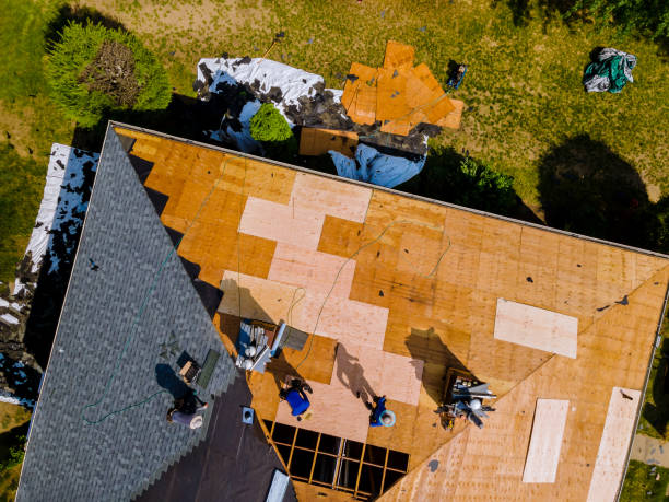 Quick and Trustworthy Emergency Roof Repair Services in Mission, TX