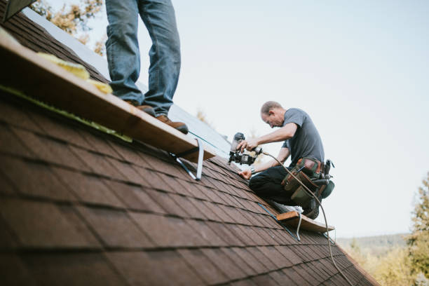 Roof Gutter Cleaning in Mission, TX